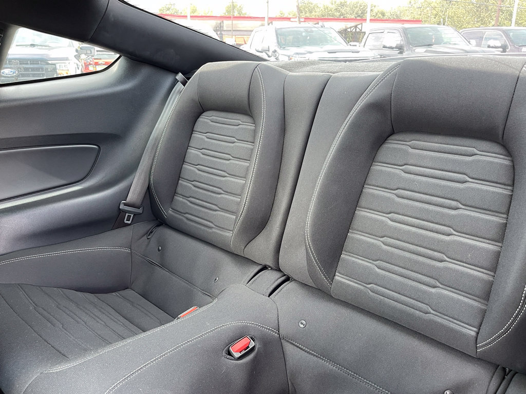 Used 2021 Ford Mustang Mach 1 RWD image 11