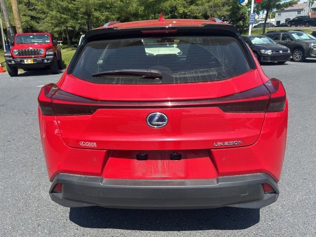 Used 2019 Lexus UX 250h w/ Premium Package AWD/4WD image 5