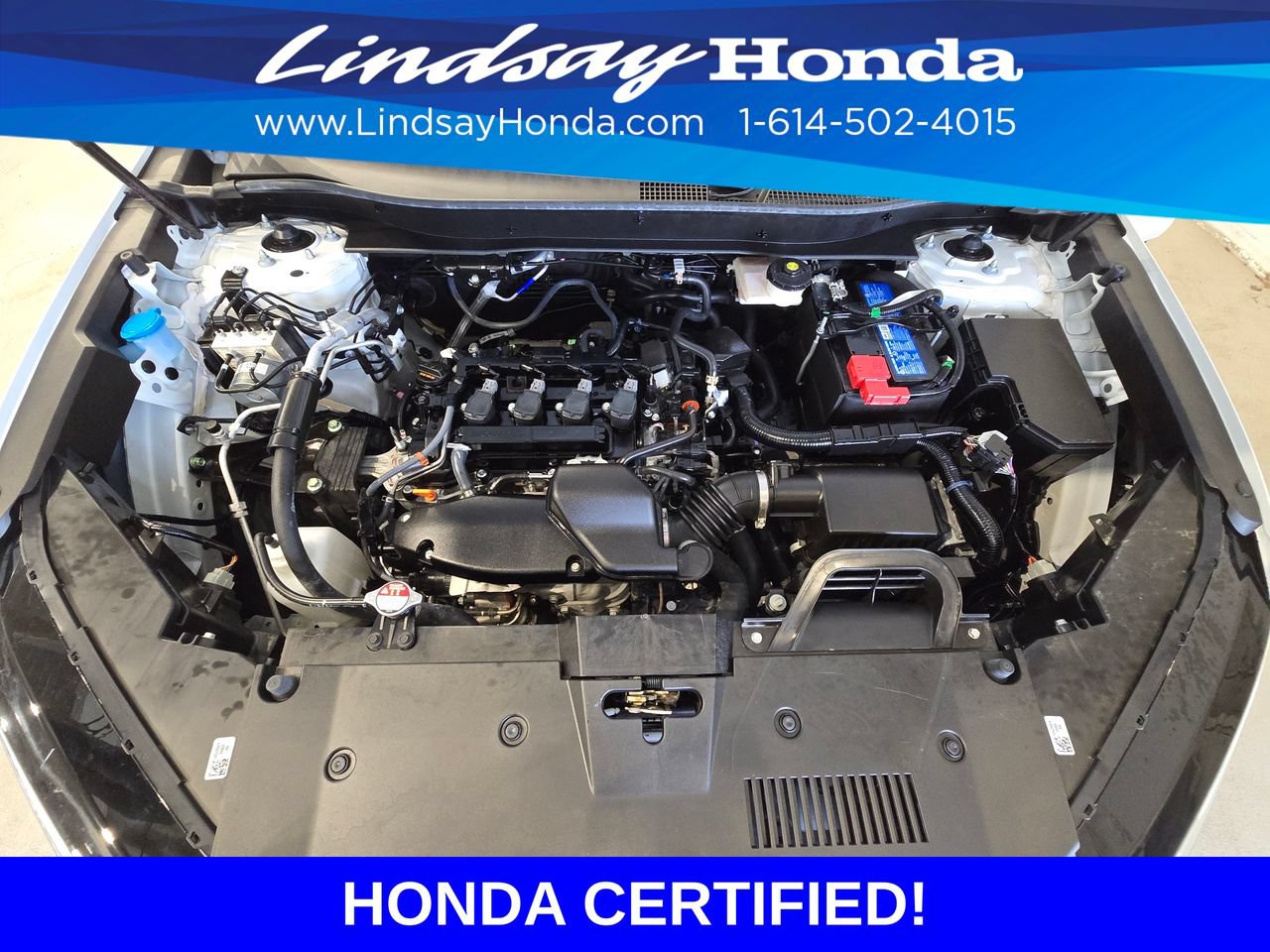 Certified 2025 Honda CR-V EX-L image 25
