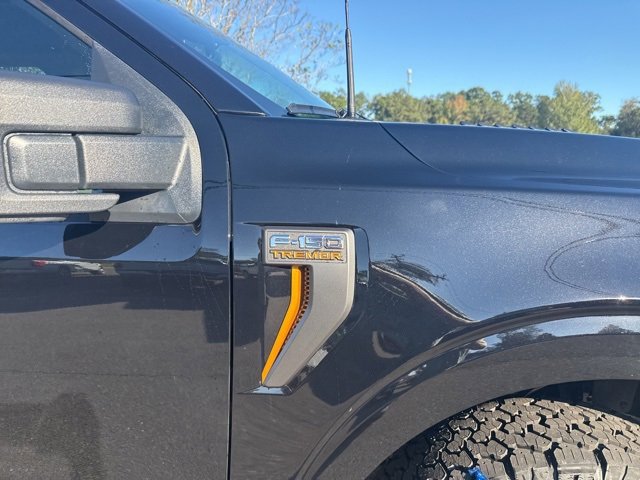 New 2025 Ford F150 Tremor image 17