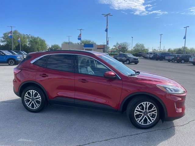 Used 2020 Ford Escape SEL image 2