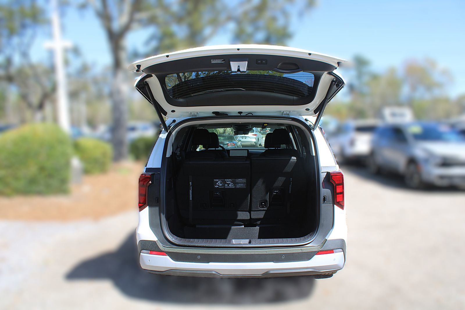 New 2026 Kia Carnival EX image 12