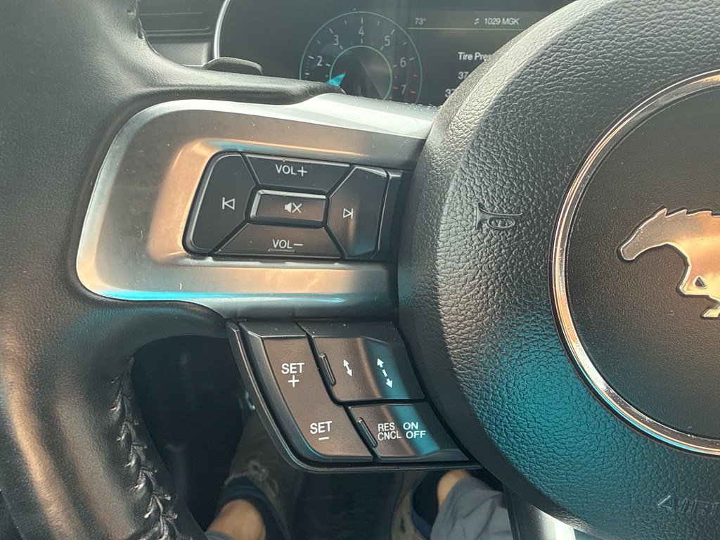 Certified 2019 Ford Mustang Premium w/ Equipment Group 201A RWD image 14