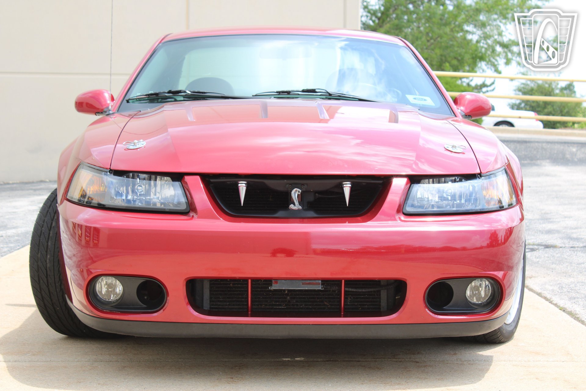 Used 2003 Ford Mustang Cobra RWD image 23