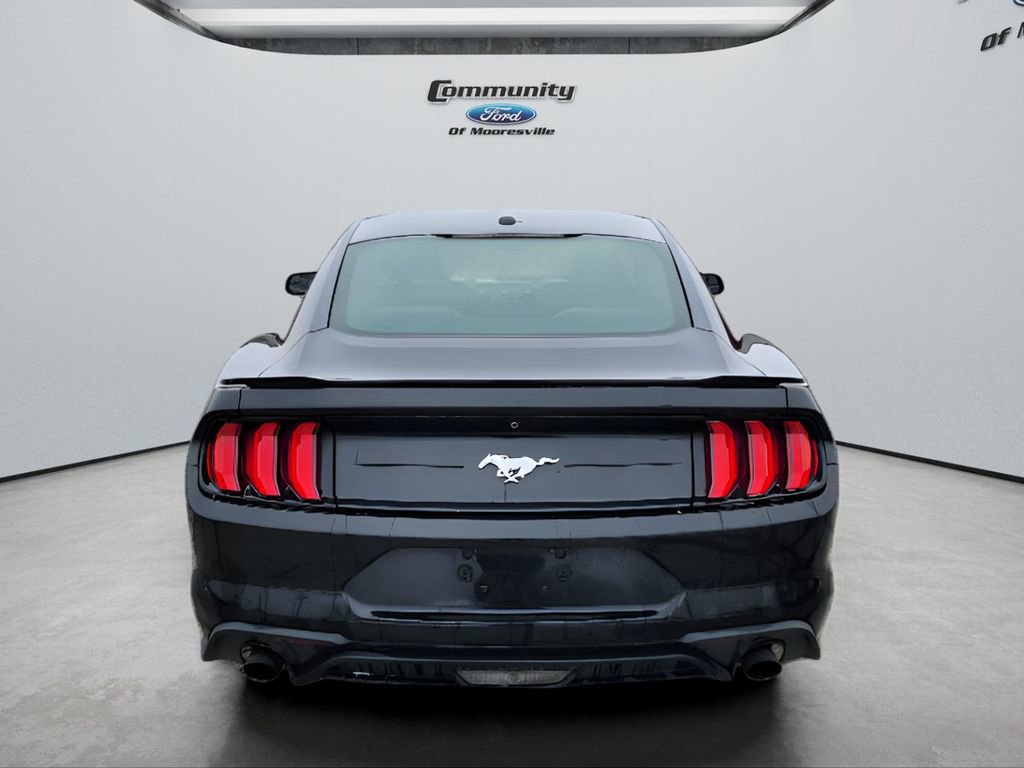 Used 2019 Ford Mustang Coupe image 3
