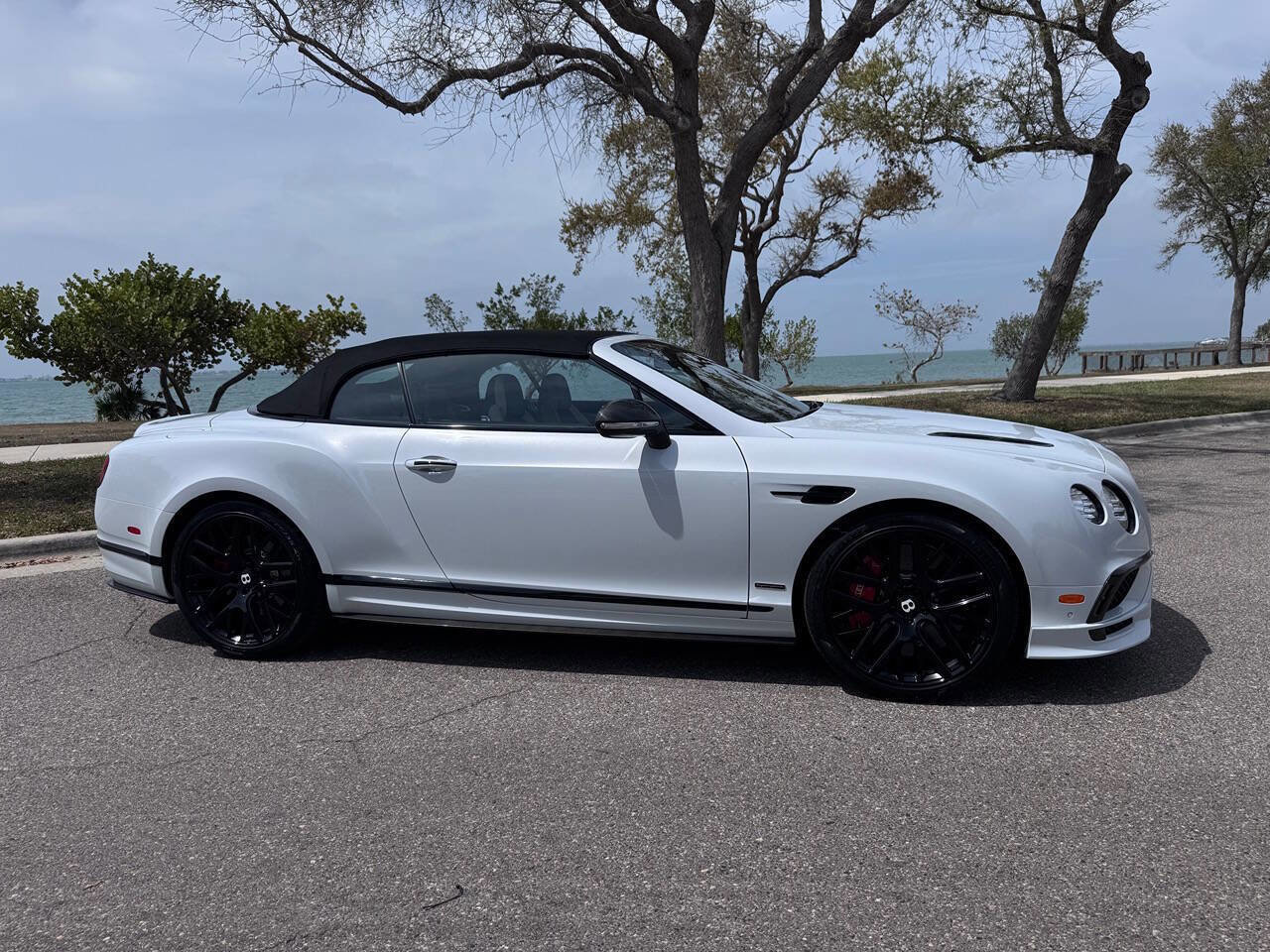 Used 2018 Bentley Continental GT Supersports image 37