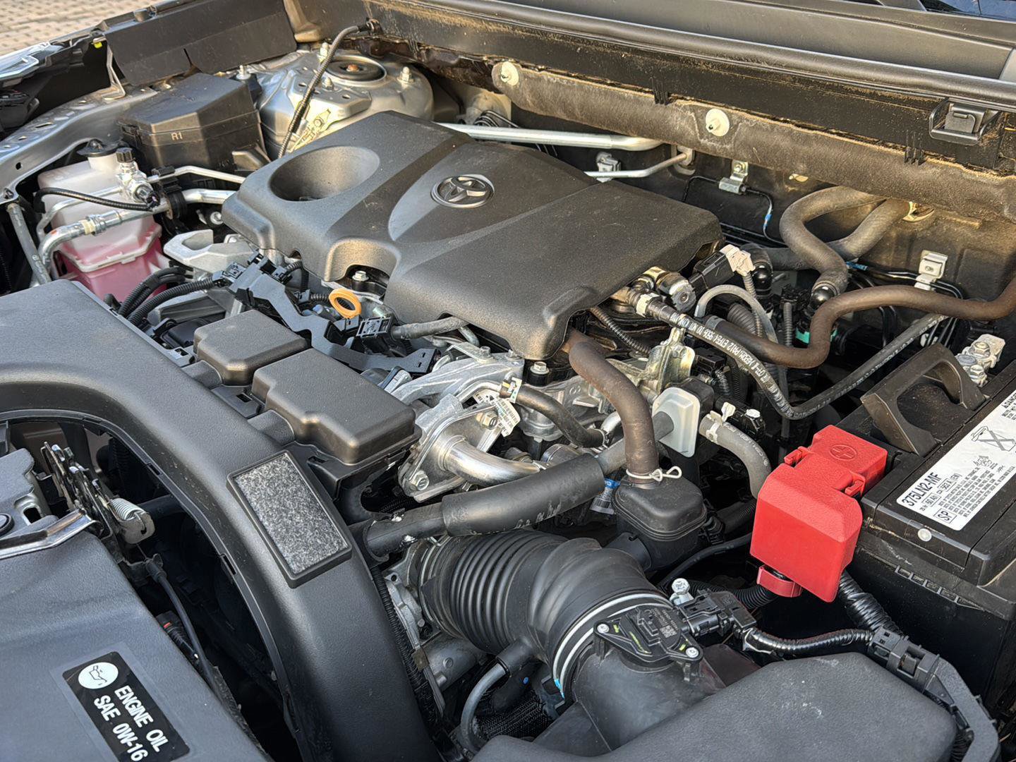 Certified 2019 Toyota RAV4 XLE image 19