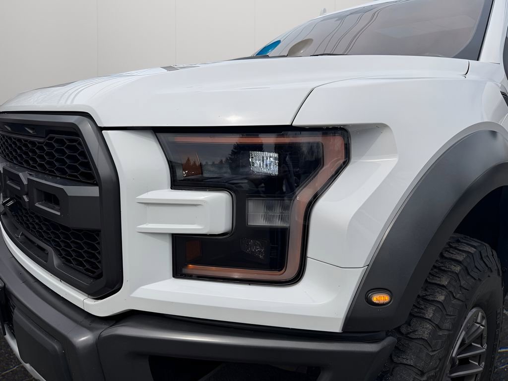 Used 2019 Ford F150 Raptor w/ Equipment Group 802A Luxury AWD/4WD image 10