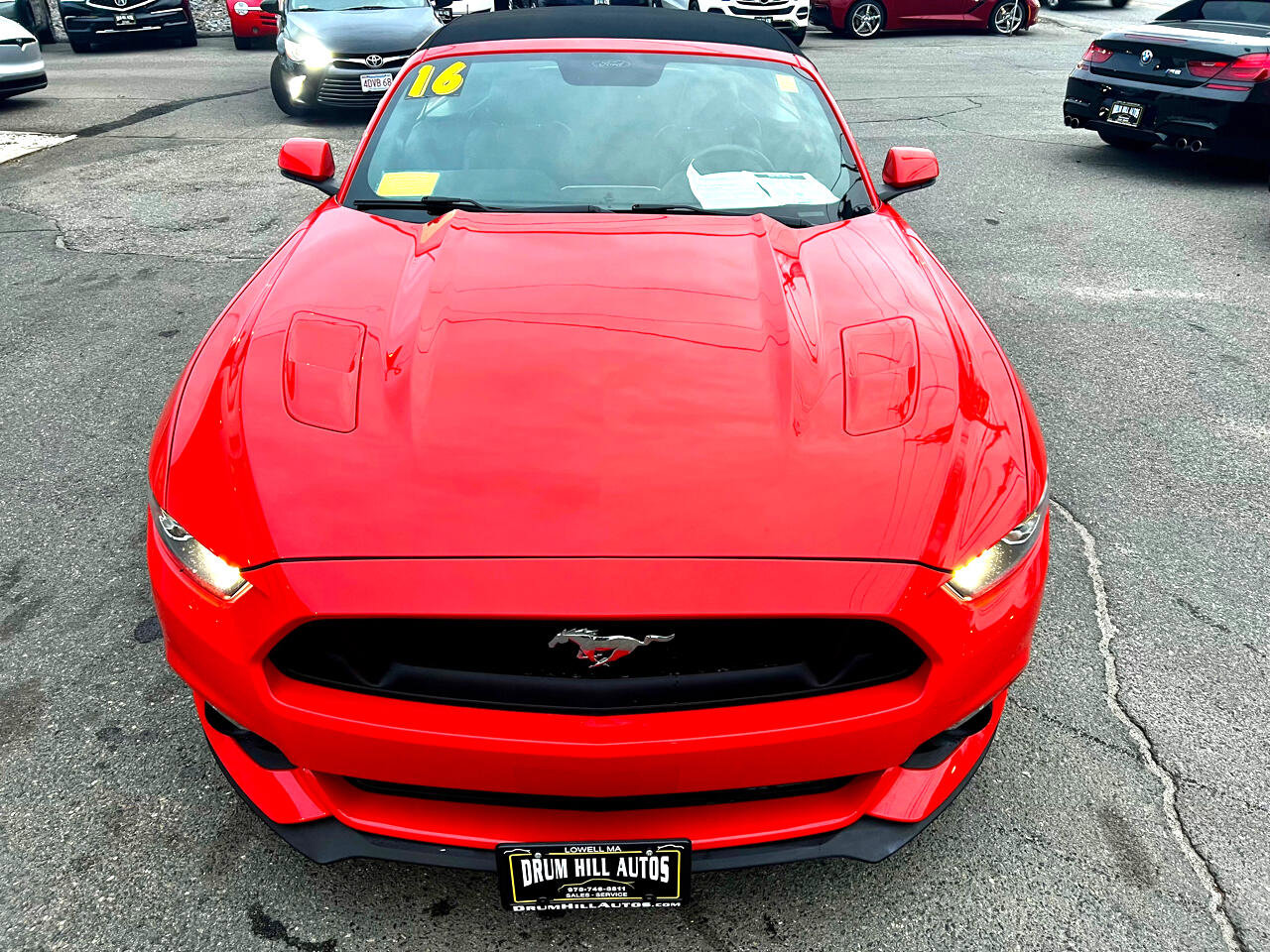 Used 2016 Ford Mustang GT Premium w/ Equipment Group 401A image 18