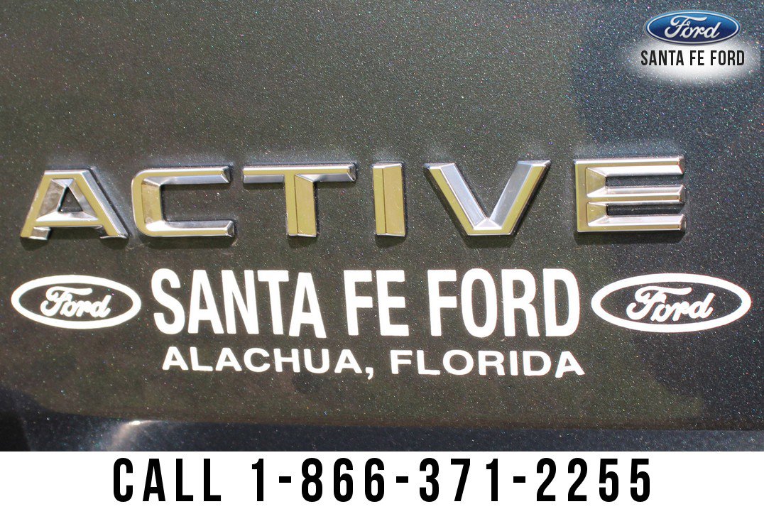 New 2025 Ford Expedition Active image 16