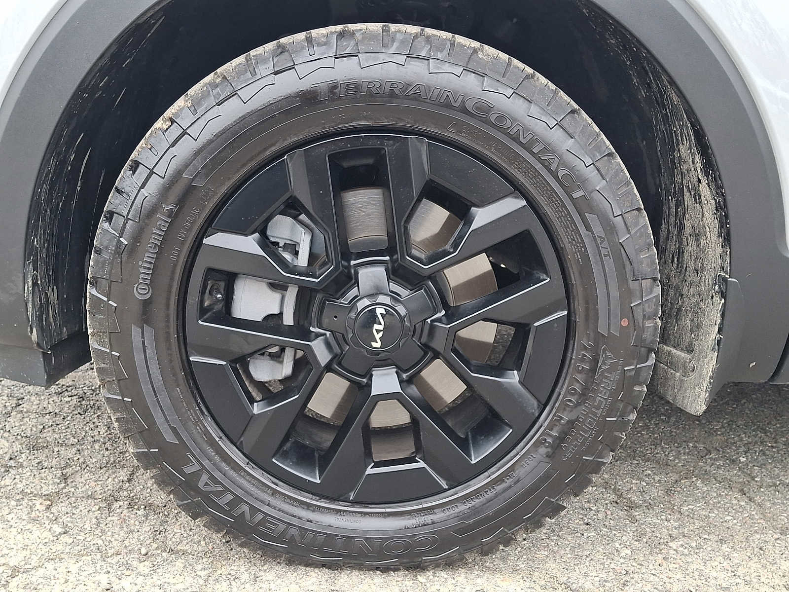 Used 2024 Kia Telluride SX Prestige X-Pro image 9