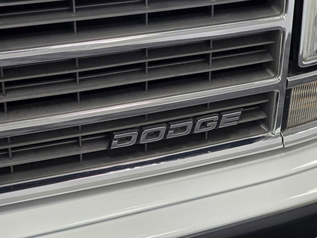 Used 1990 Dodge Grand Caravan LE image 19