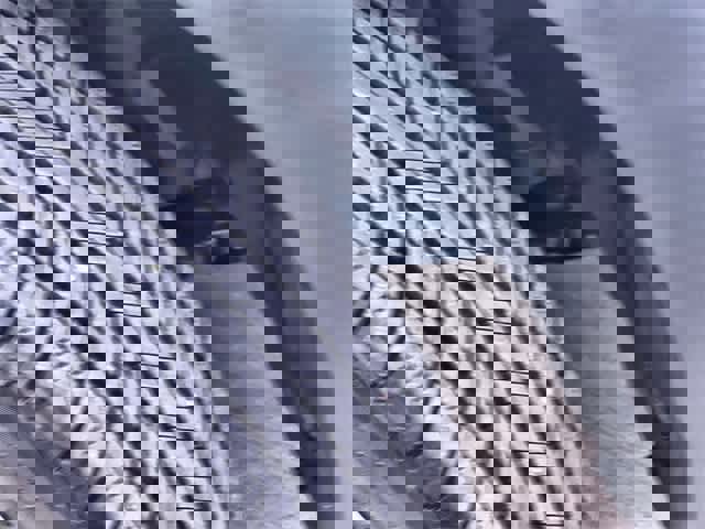 Used 2021 MAZDA CX-30 AWD 2.5 S w/ Select Package image 23