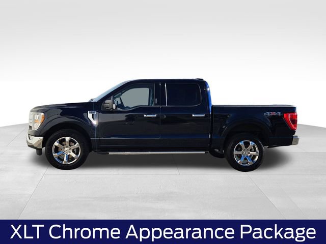 Certified 2022 Ford F150 XLT w/ Equipment Group 302A High image 7