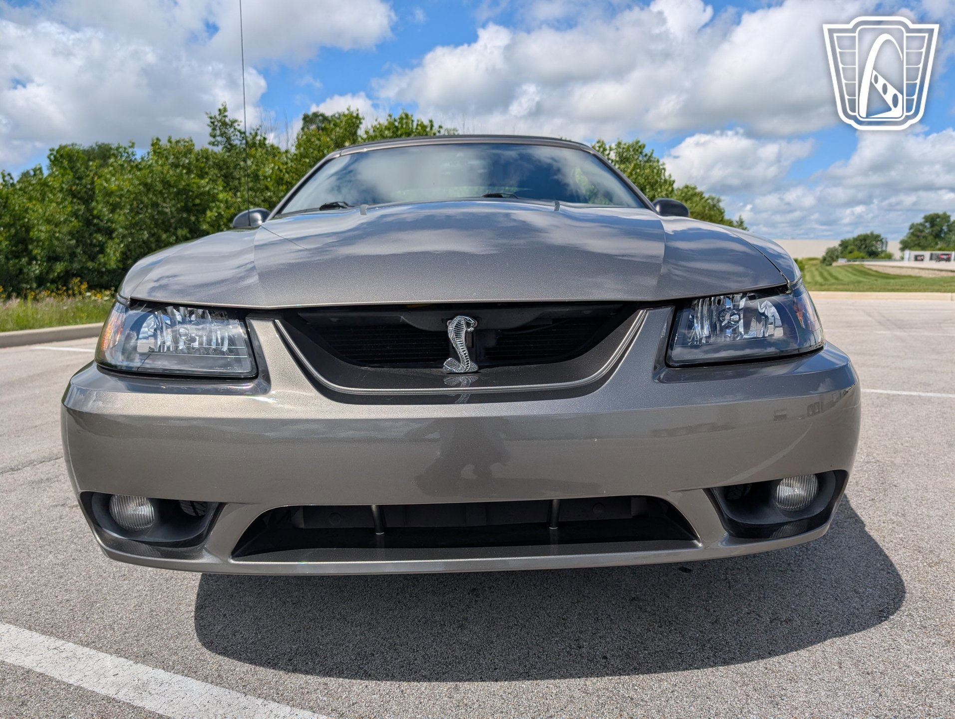 Used 2001 Ford Mustang Cobra image 24
