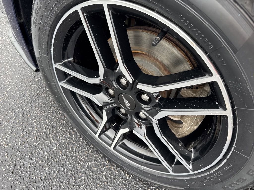 Used 2019 Ford Mustang Premium image 9