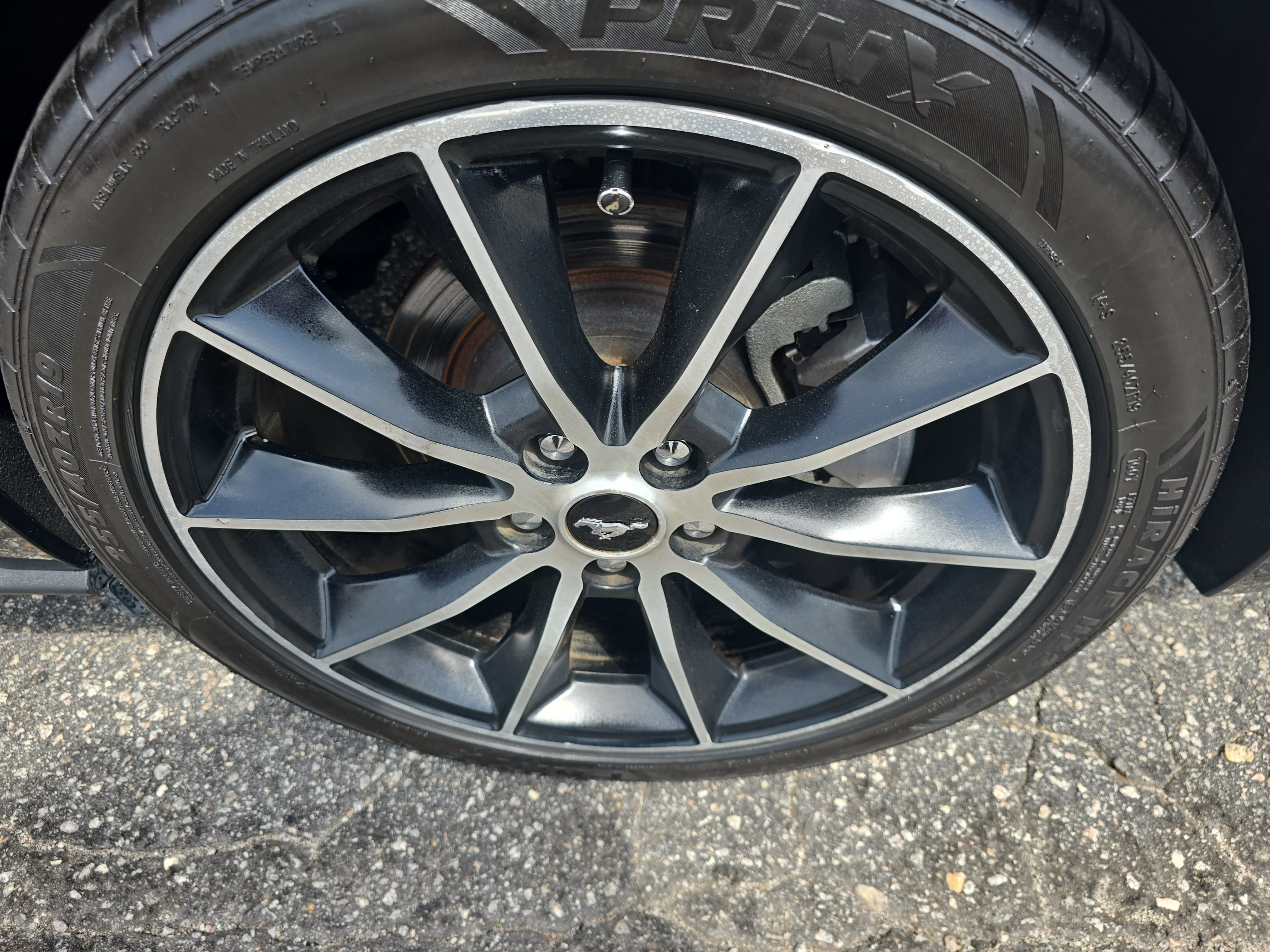 Used 2016 Ford Mustang Coupe w/ Interior & Wheel Package RWD image 31