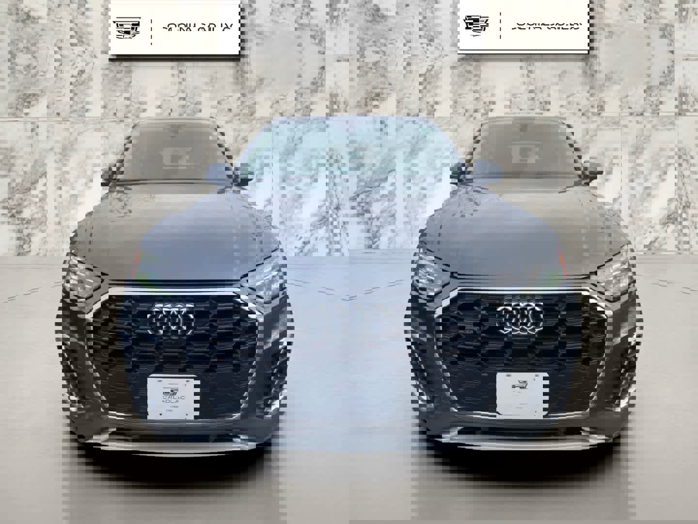 Used 2022 Audi Q5 2.0T Premium Plus image 7