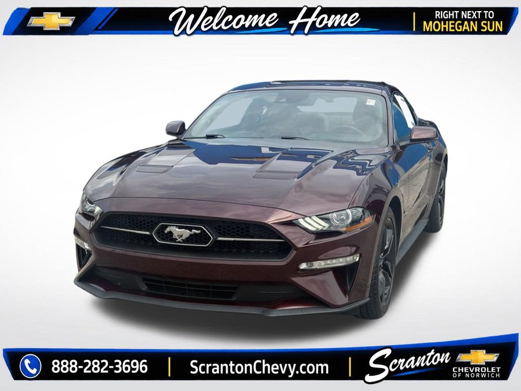 Used 2018 Ford Mustang Premium w/ Equipment Group 201A RWD image 2