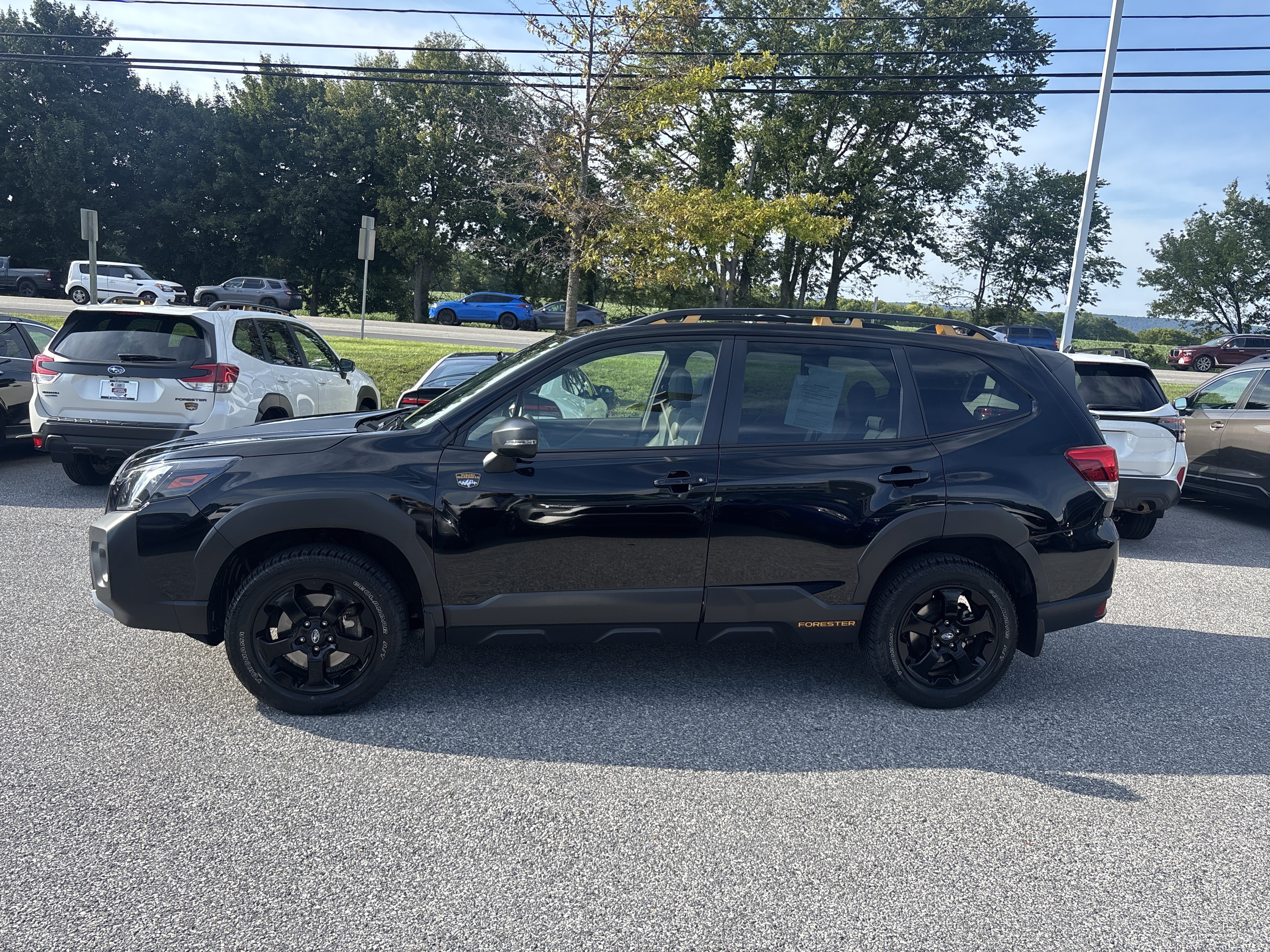 Certified 2024 Subaru Forester Wilderness AWD/4WD image 22