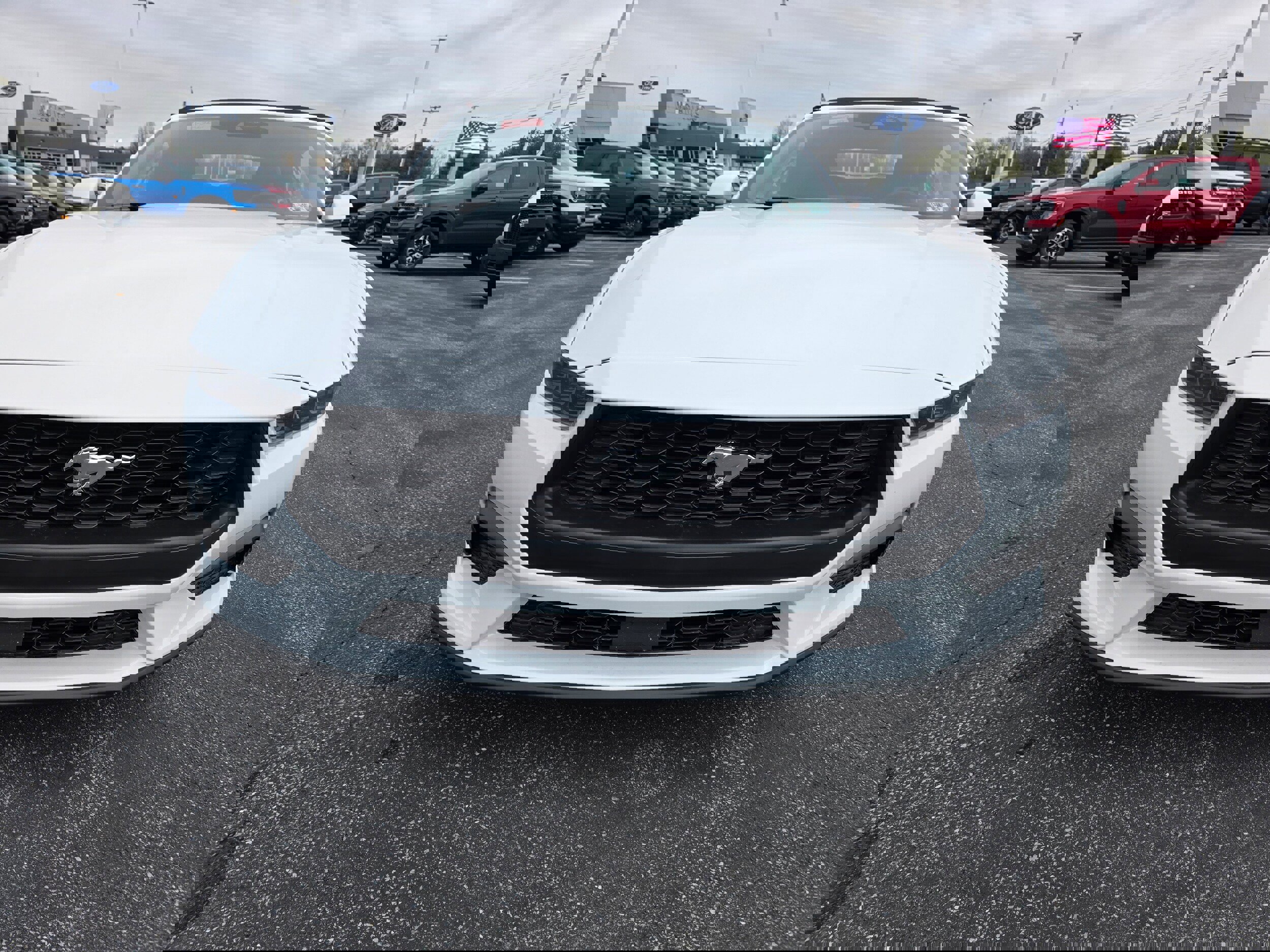 New 2026 Ford Mustang Premium w/ Anti-Theft Package image 15