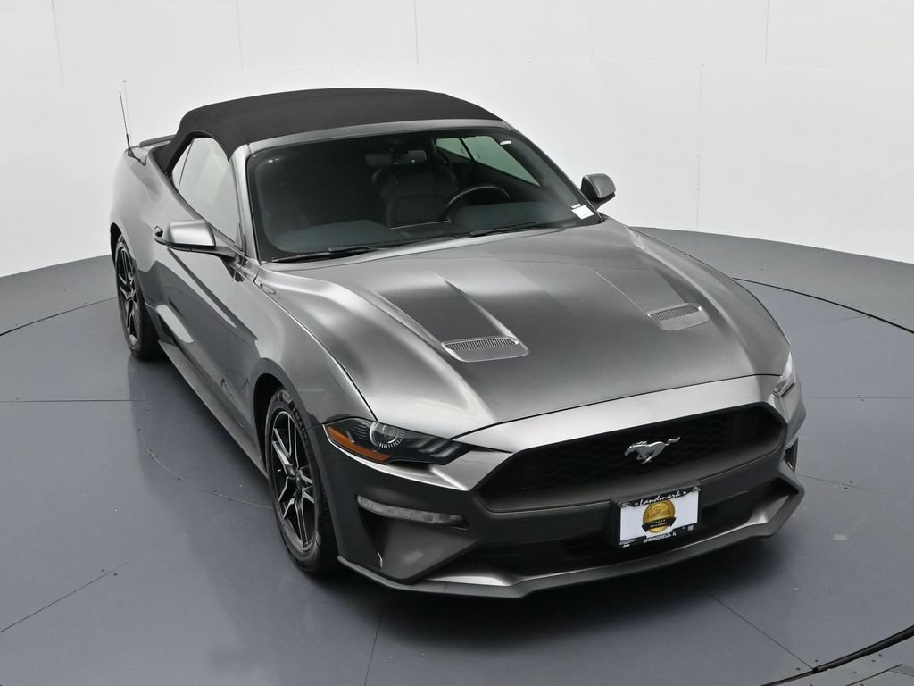 Certified 2019 Ford Mustang Premium RWD image 15