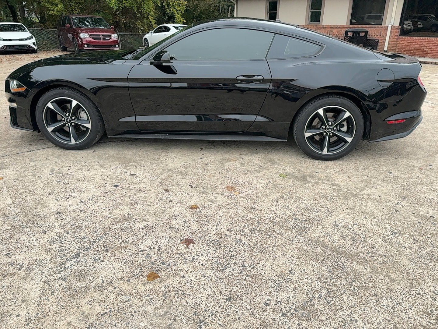 Used 2019 Ford Mustang Coupe RWD image 8