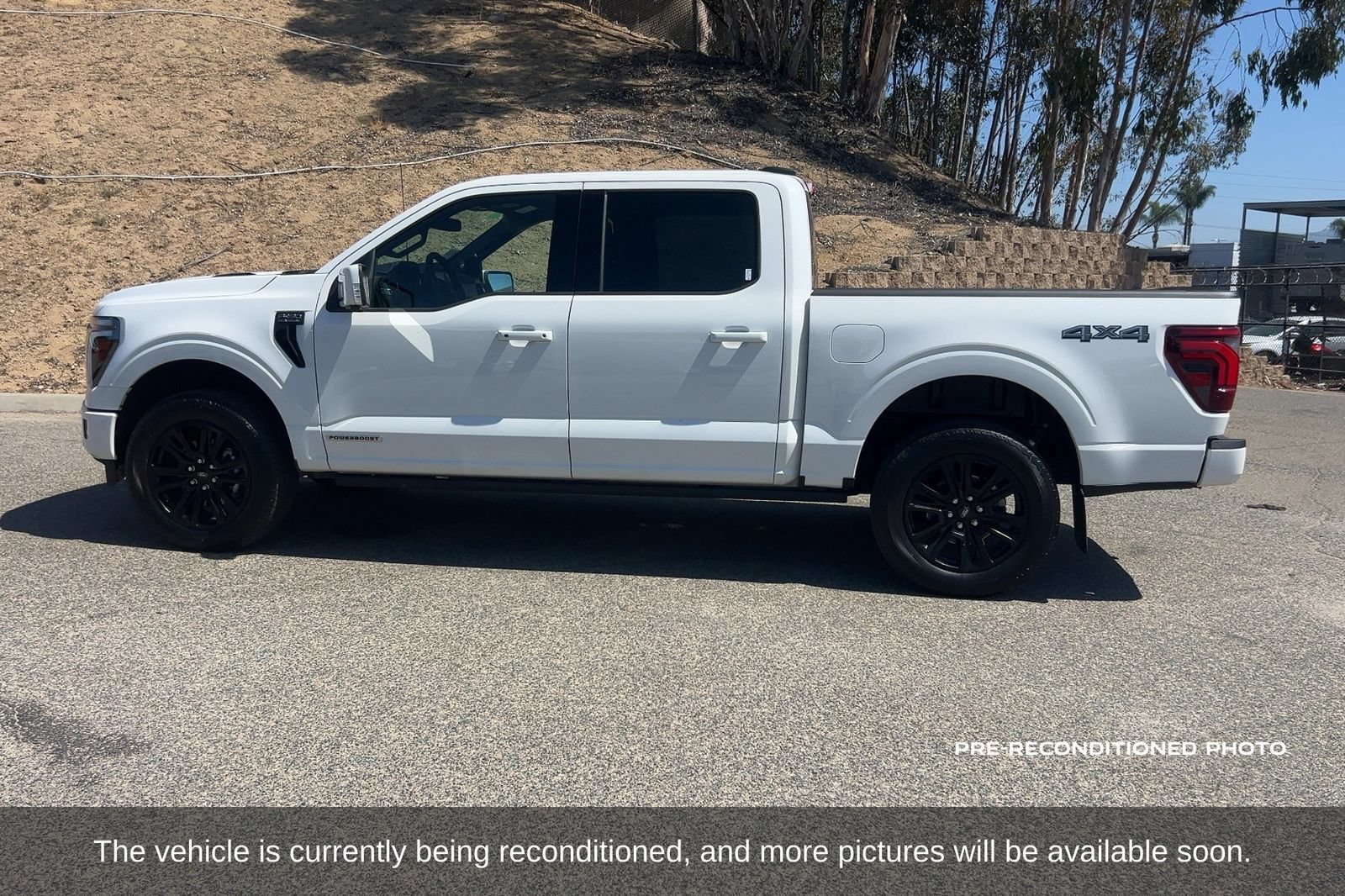 Used 2025 Ford F150 Platinum AWD/4WD image 9