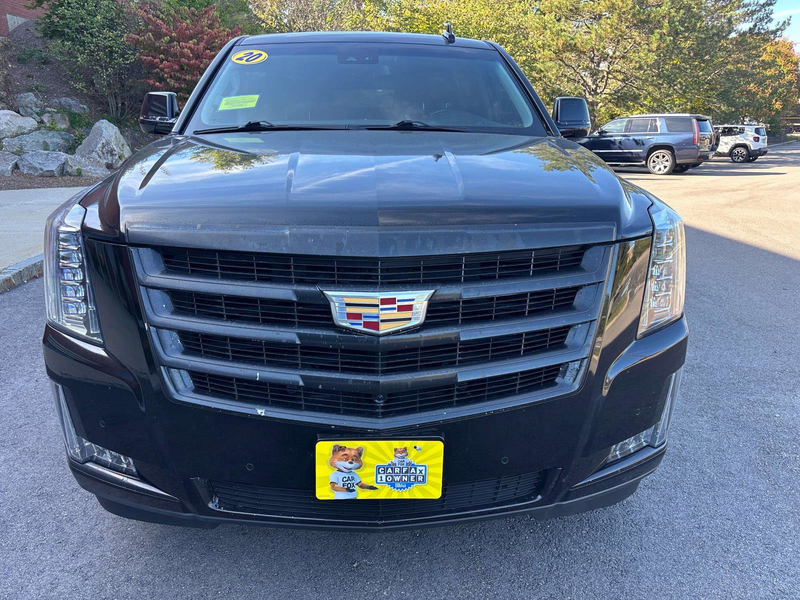 Used 2020 Cadillac Escalade ESV Luxury image 5