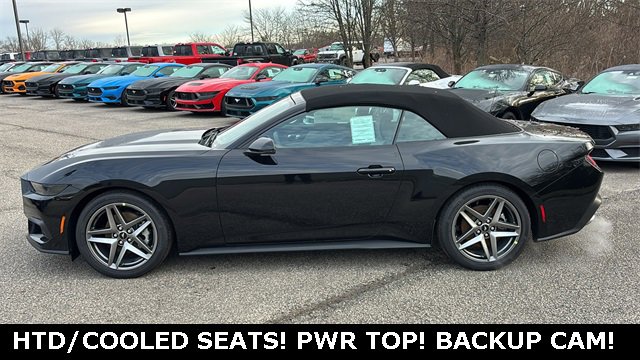 New 2026 Ford Mustang Premium image 3