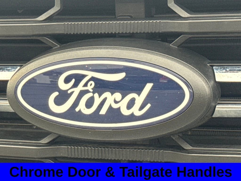 Used 2025 Ford F150 XLT w/ Equipment Group 301A Standard image 16