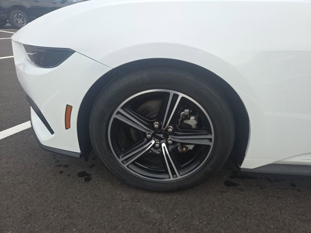 Certified 2025 Ford Mustang Premium image 15