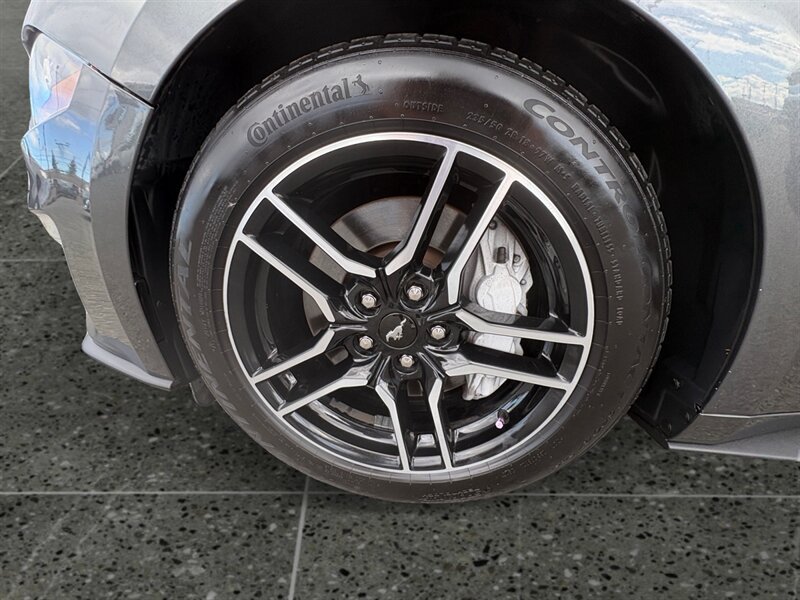 Used 2019 Ford Mustang GT Premium w/ Equipment Group 401A RWD image 15