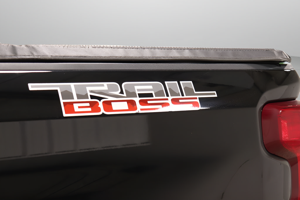 Used 2019 Chevrolet Silverado 1500 LT Trail Boss AWD/4WD image 32