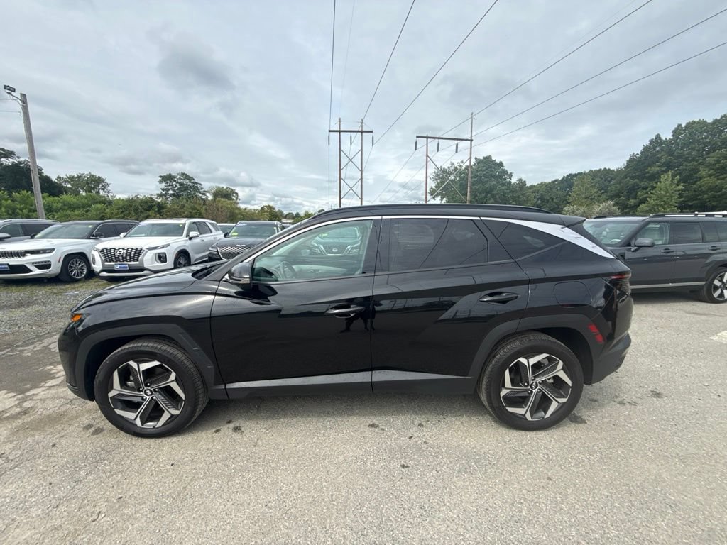 Used 2024 Hyundai Tucson Limited AWD/4WD image 9