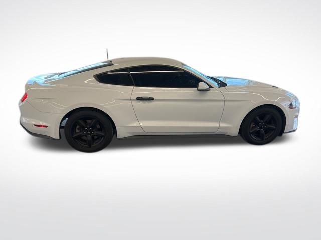 Used 2019 Ford Mustang Coupe image 12