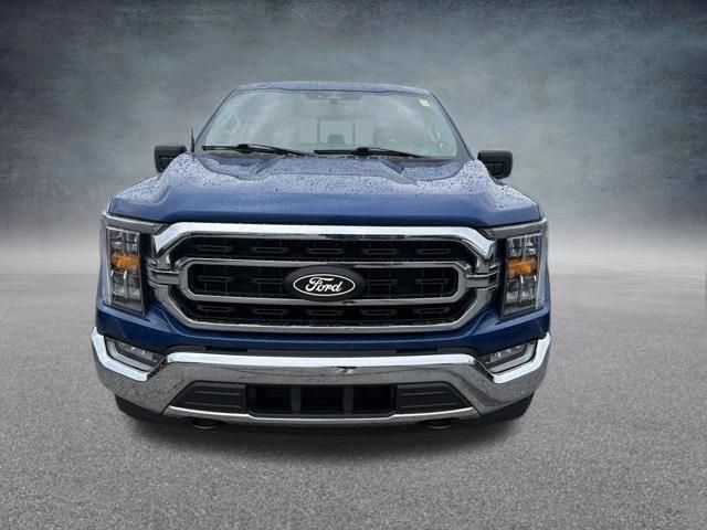 Used 2023 Ford F150 XLT w/ Equipment Group 302A High AWD/4WD image 3
