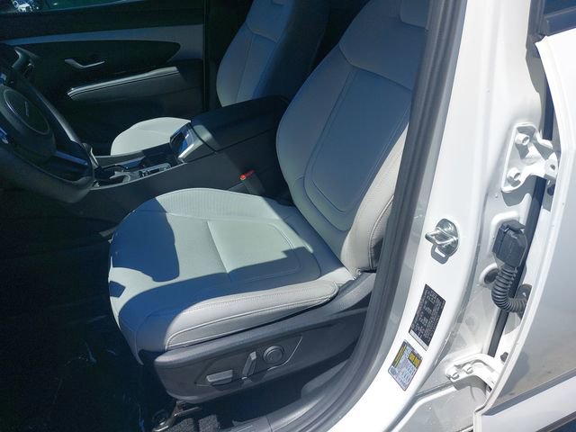 Used 2025 Hyundai Santa Cruz SEL FWD image 15