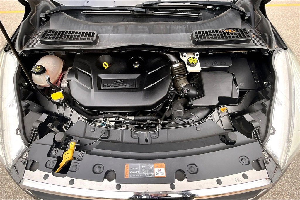 Used 2019 Ford Escape SE image 10