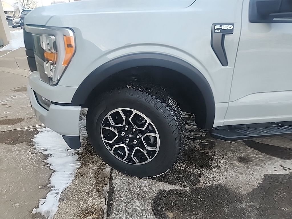 Used 2023 Ford F150 XLT w/ Equipment Group 302A High image 11
