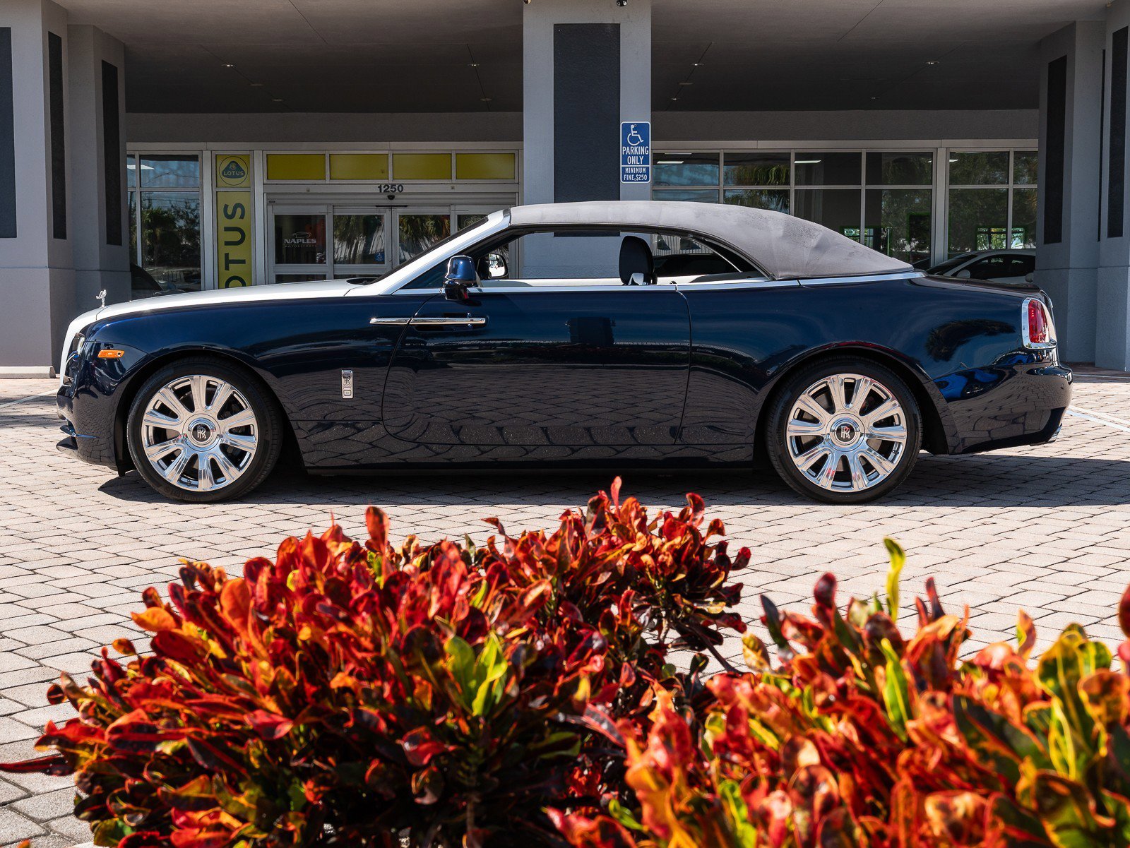 Used 2018 Rolls-Royce Dawn image 3