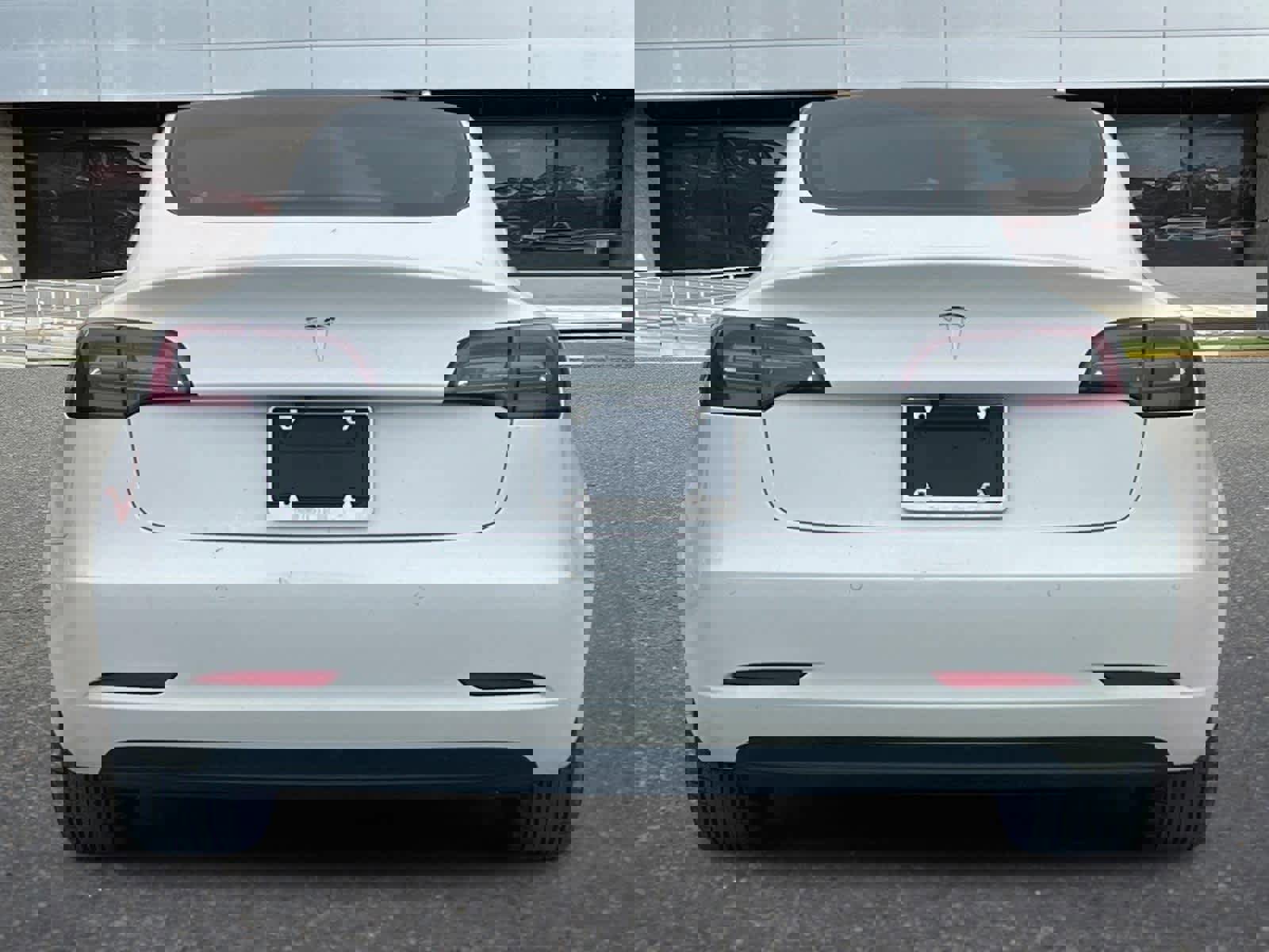 Used 2019 Tesla Model 3 Standard Range Plus image 7