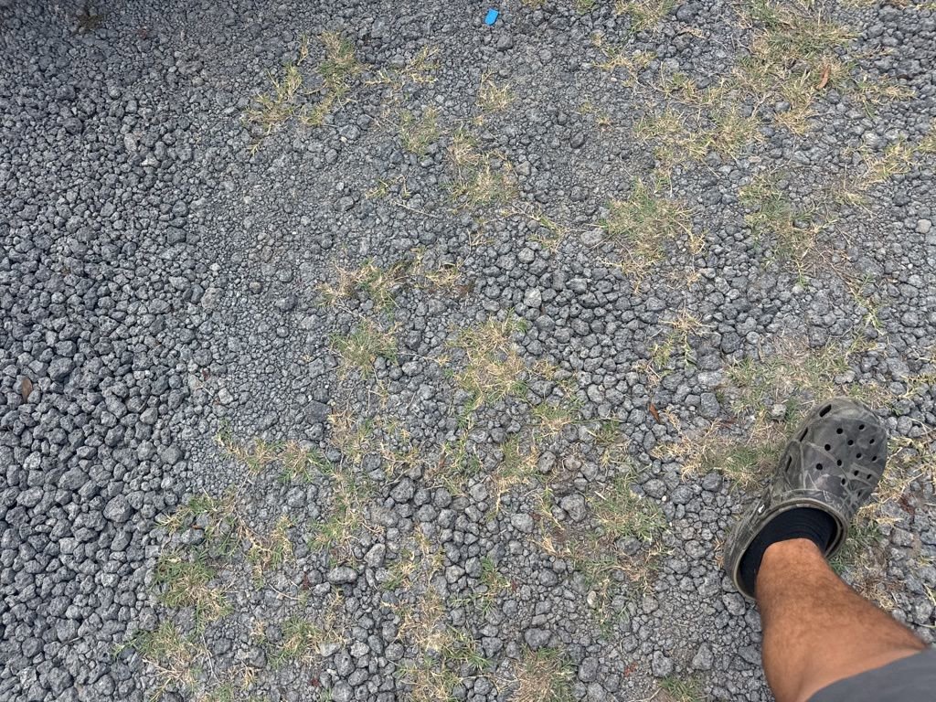 Used 2025 Nissan Sentra SV image 9