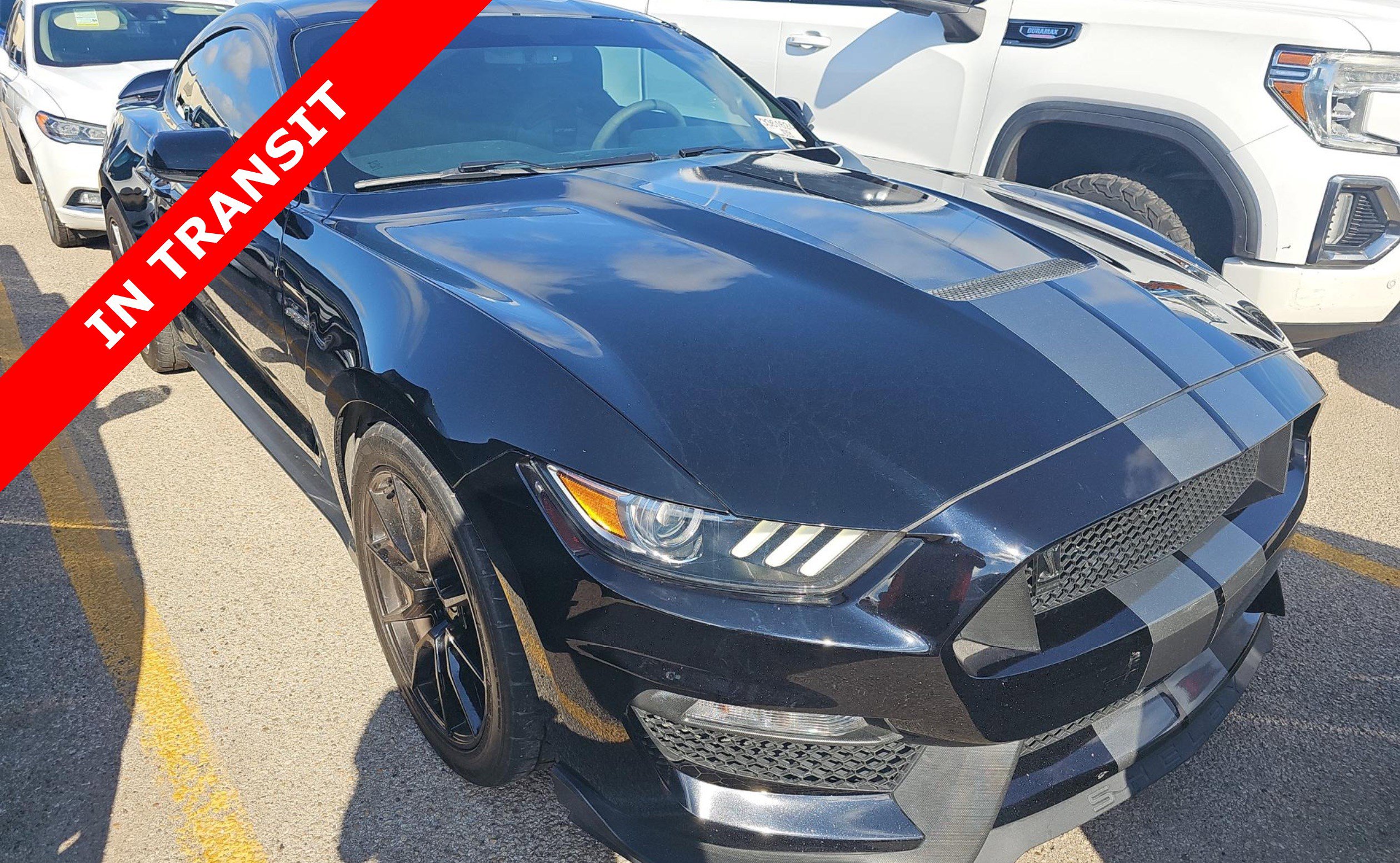 Used 2019 Ford Mustang Shelby GT350 w/ Technology Package