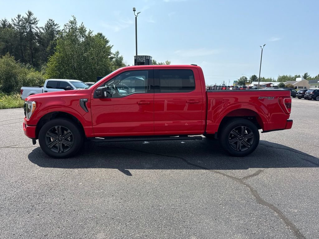 Used 2023 Ford F150 XLT w/ Equipment Group 302A High AWD/4WD image 8