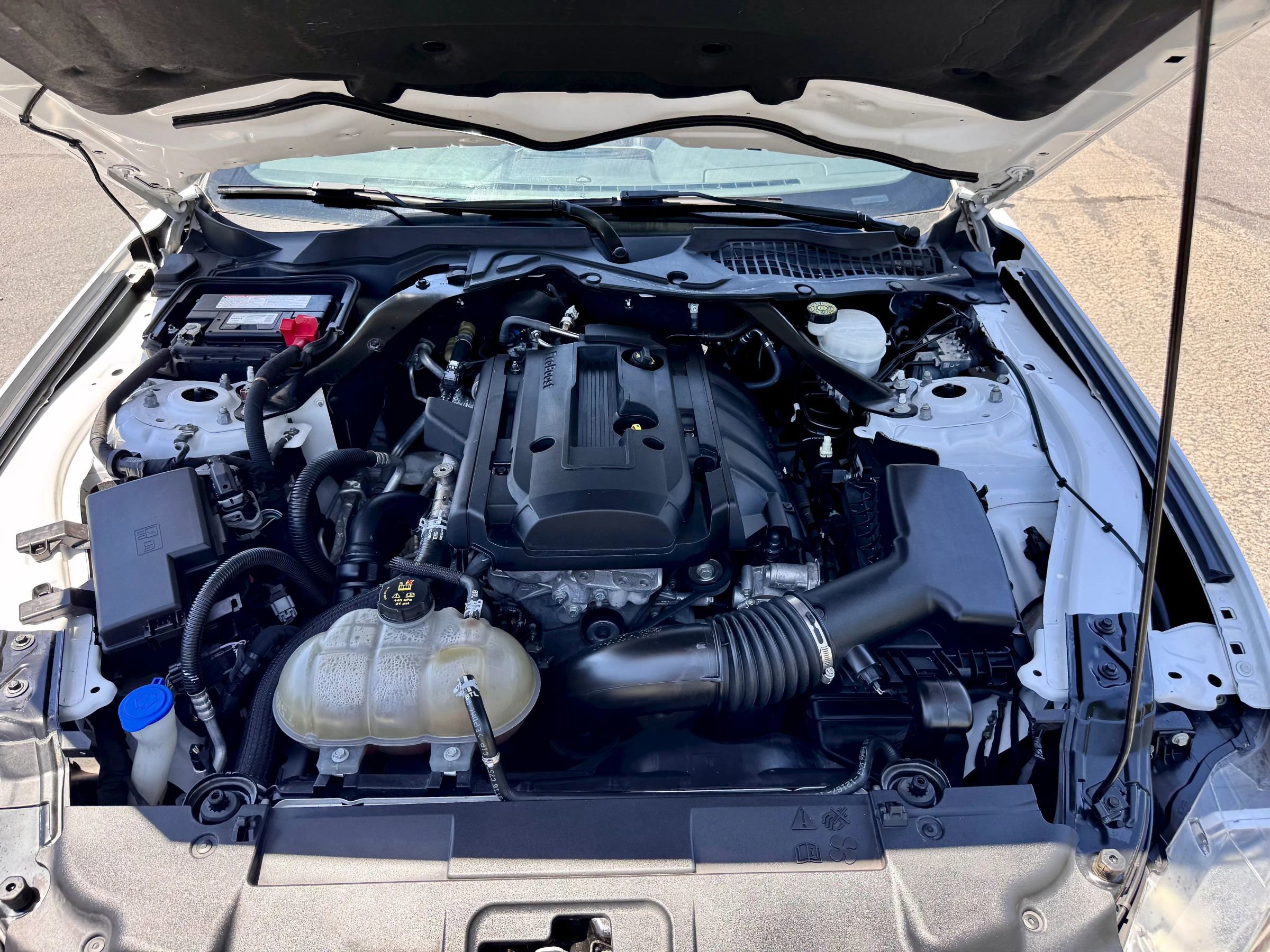 Used 2020 Ford Mustang Premium image 16