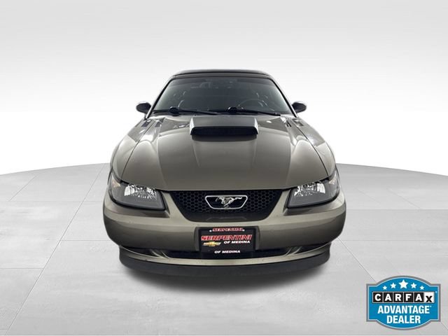 Used 2001 Ford Mustang GT RWD image 2