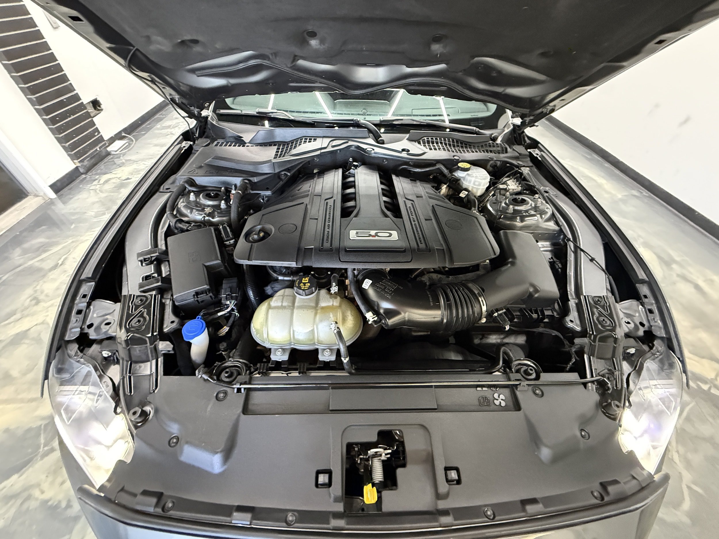 Used 2021 Ford Mustang GT RWD image 27