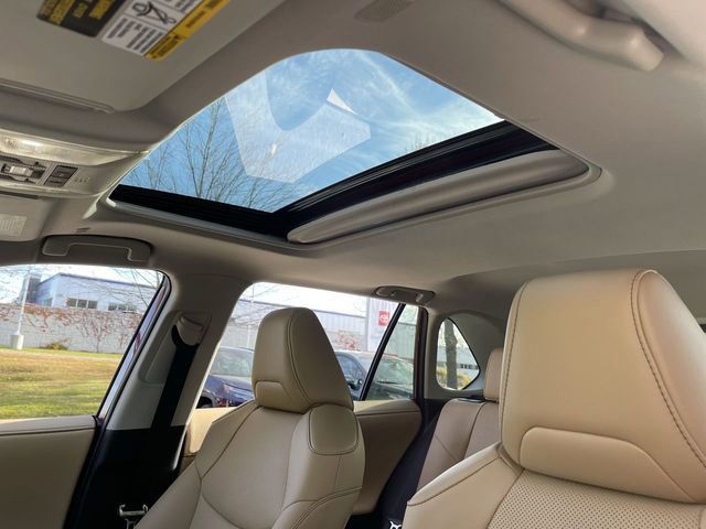 New 2025 Toyota RAV4 Limited image 12