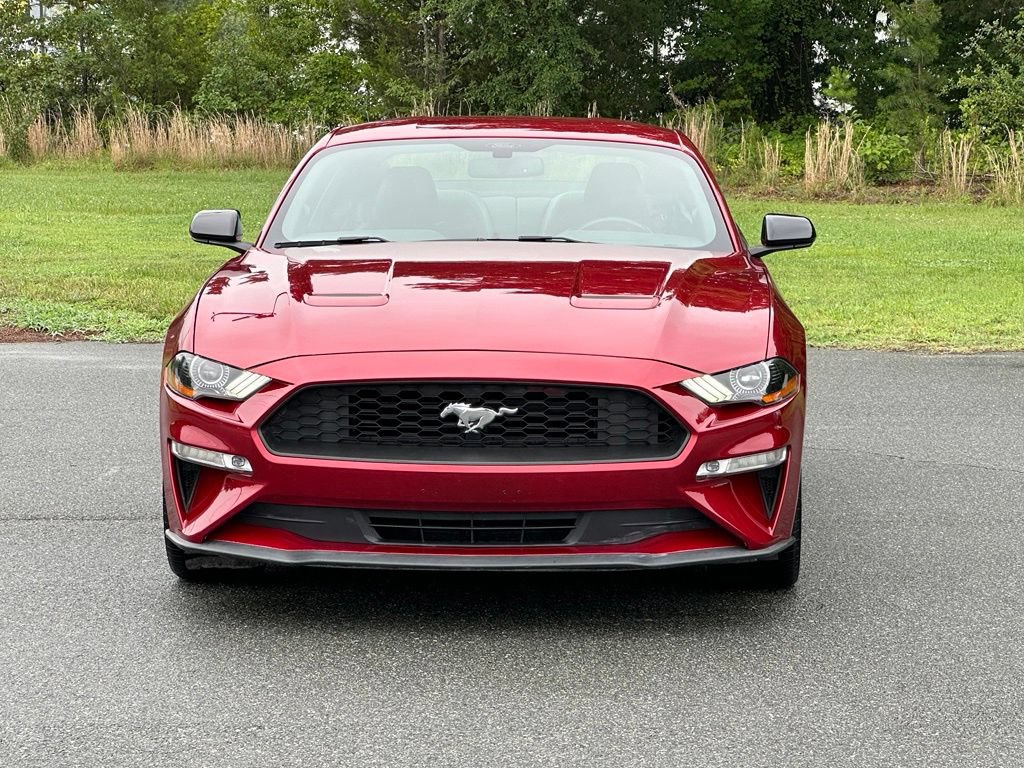 Used 2019 Ford Mustang Premium w/ Equipment Group 201A RWD image 11